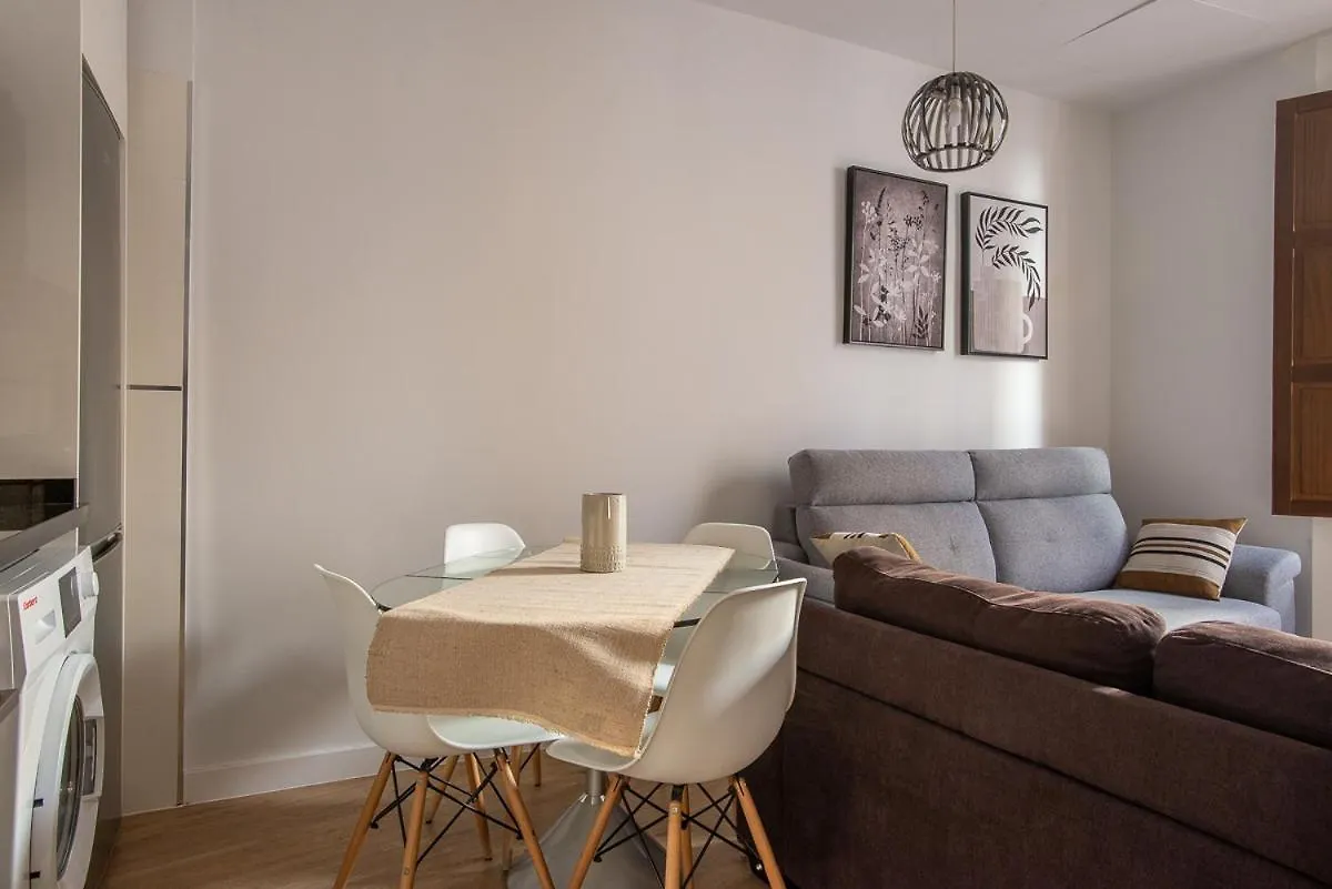 Puerta Real Centro Apartment Granada