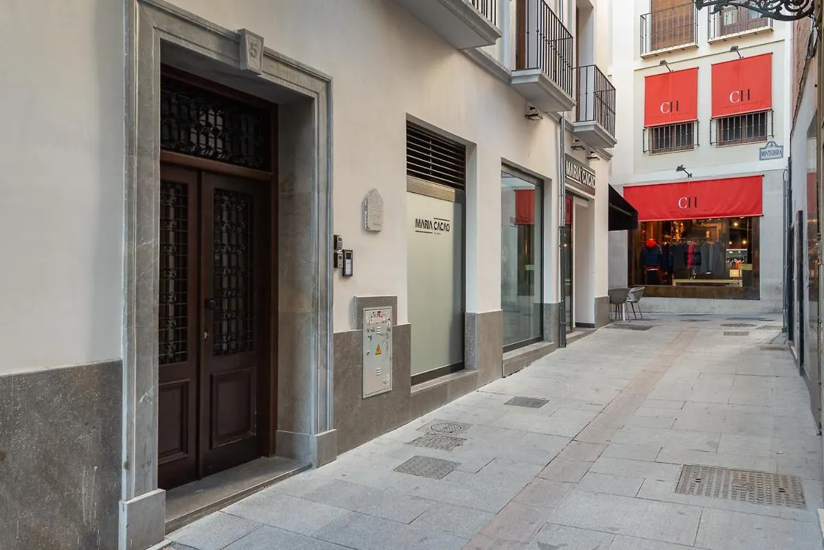 Puerta Real Centro Apartment Granada