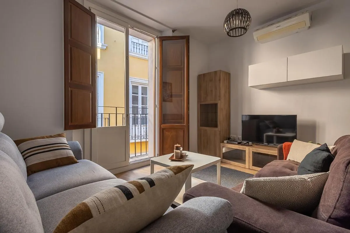 Puerta Real Centro Apartment Granada
